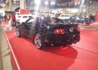 ACS 2013