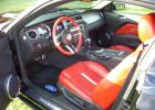 Ford Mustang GT 2010 Brick Red Leather 401